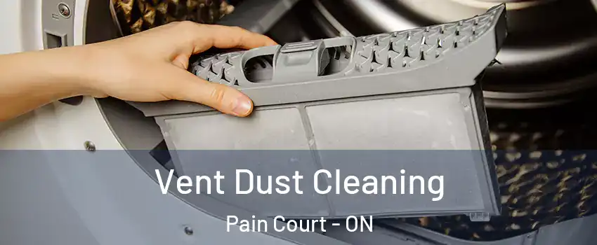  Vent Dust Cleaning Pain Court - ON