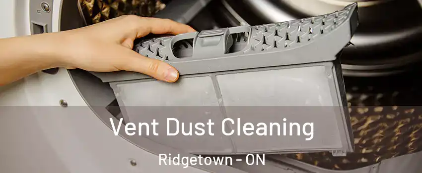  Vent Dust Cleaning Ridgetown - ON