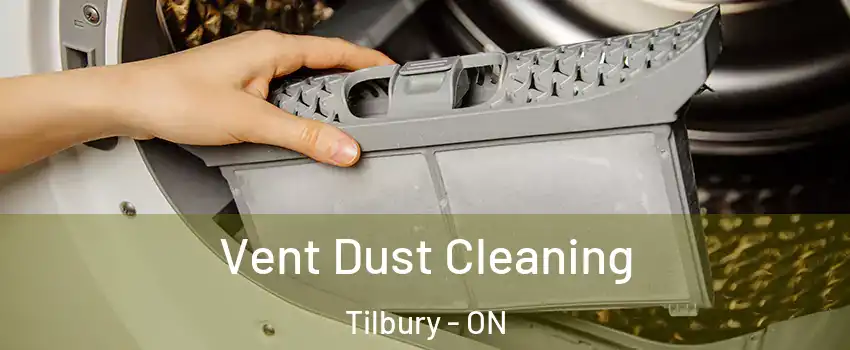  Vent Dust Cleaning Tilbury - ON