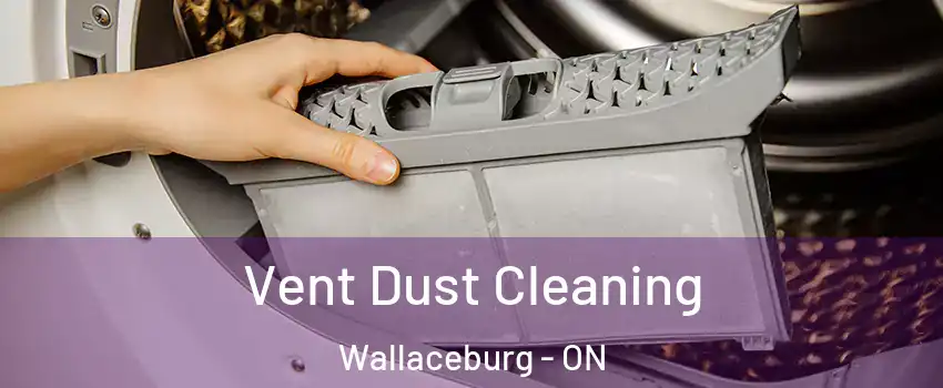  Vent Dust Cleaning Wallaceburg - ON