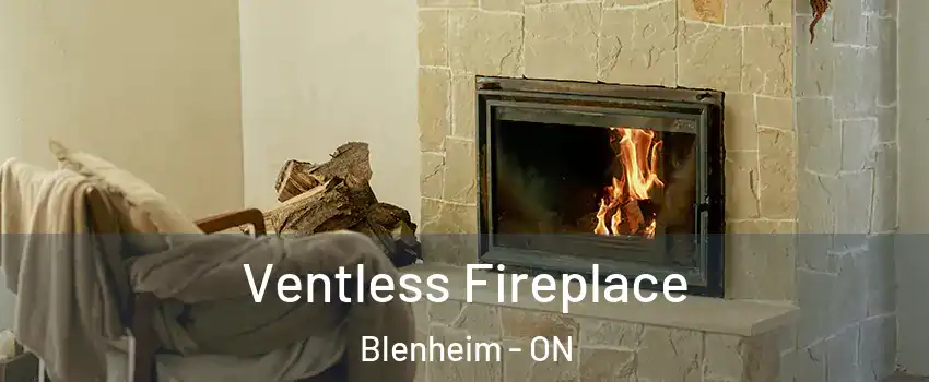  Ventless Fireplace Blenheim - ON