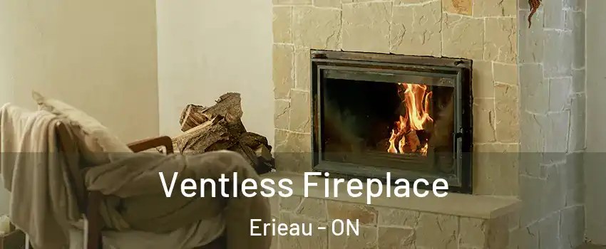  Ventless Fireplace Erieau - ON