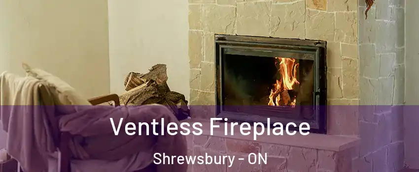  Ventless Fireplace Shrewsbury - ON