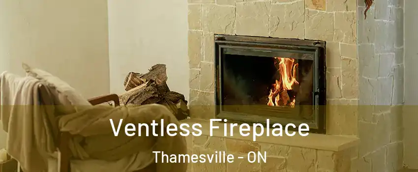  Ventless Fireplace Thamesville - ON