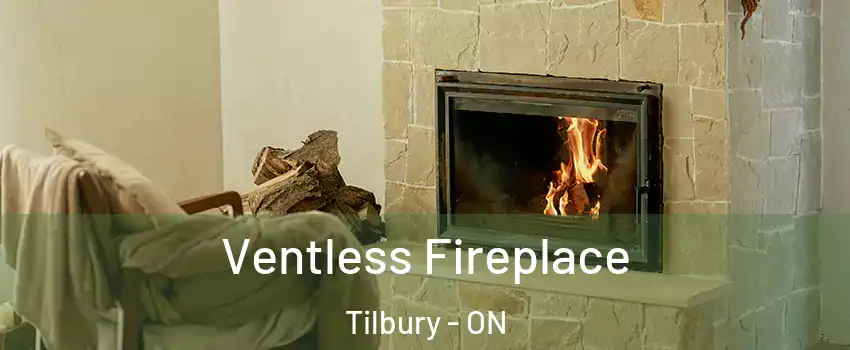  Ventless Fireplace Tilbury - ON