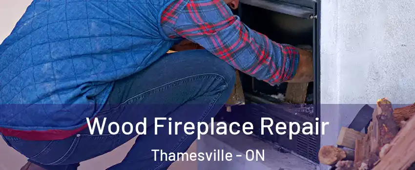  Wood Fireplace Repair Thamesville - ON