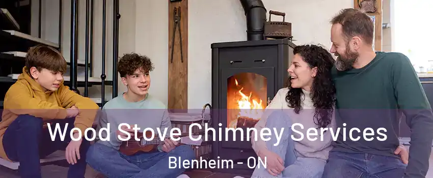  Wood Stove Chimney Services Blenheim - ON