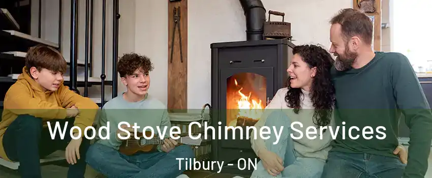  Wood Stove Chimney Services Tilbury - ON