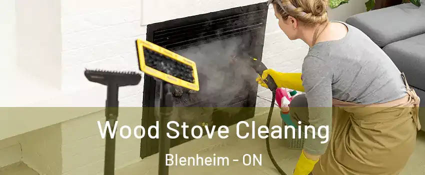  Wood Stove Cleaning Blenheim - ON