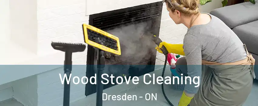  Wood Stove Cleaning Dresden - ON