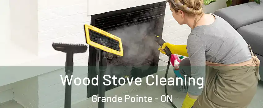  Wood Stove Cleaning Grande Pointe - ON