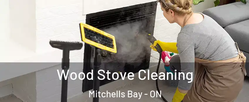  Wood Stove Cleaning Mitchells Bay - ON