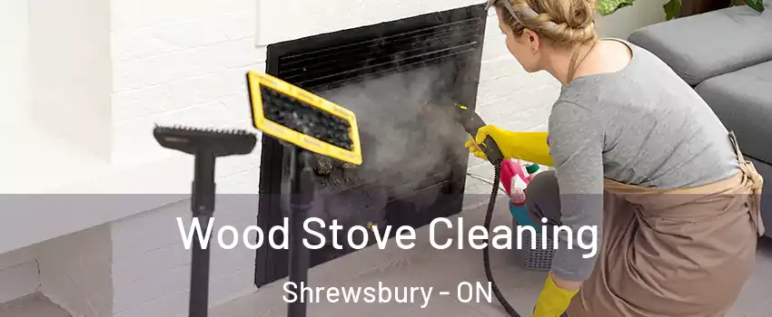  Wood Stove Cleaning Shrewsbury - ON