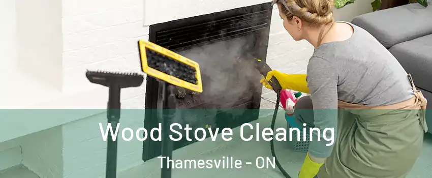  Wood Stove Cleaning Thamesville - ON