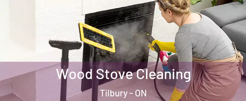 Wood Stove Cleaning Tilbury - ON