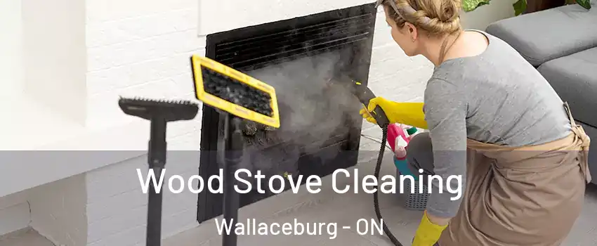  Wood Stove Cleaning Wallaceburg - ON